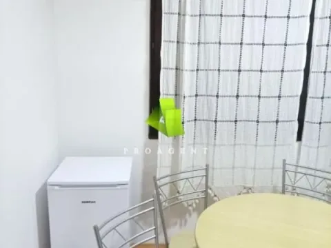 Rent, apartment, 25m², Pantelej, Niš - image 3