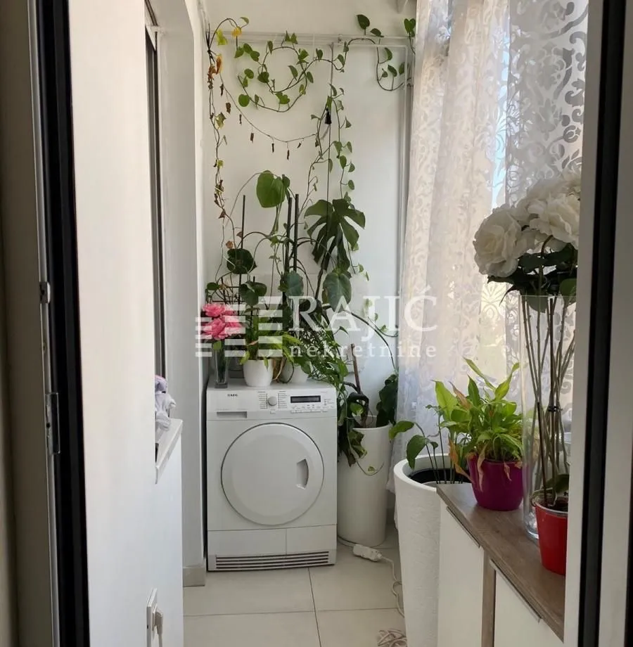 Enclosed balcony with a washing machine and decorative plants.