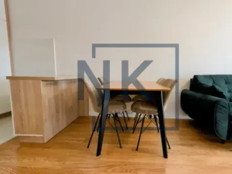 Izdavanje, jednosoban stan, 47m², Central Point, Podgorica - image 4