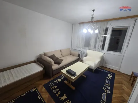 Dnevna soba sa kaučem, foteljom i tepihom. - image 15