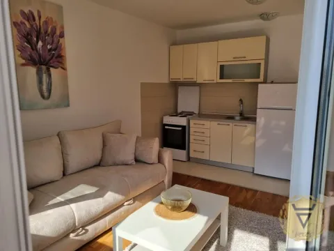 Izdavanje, dvosoban stan, 54m², Tašmajdan, Palilula Sve Podlokacije - image 5