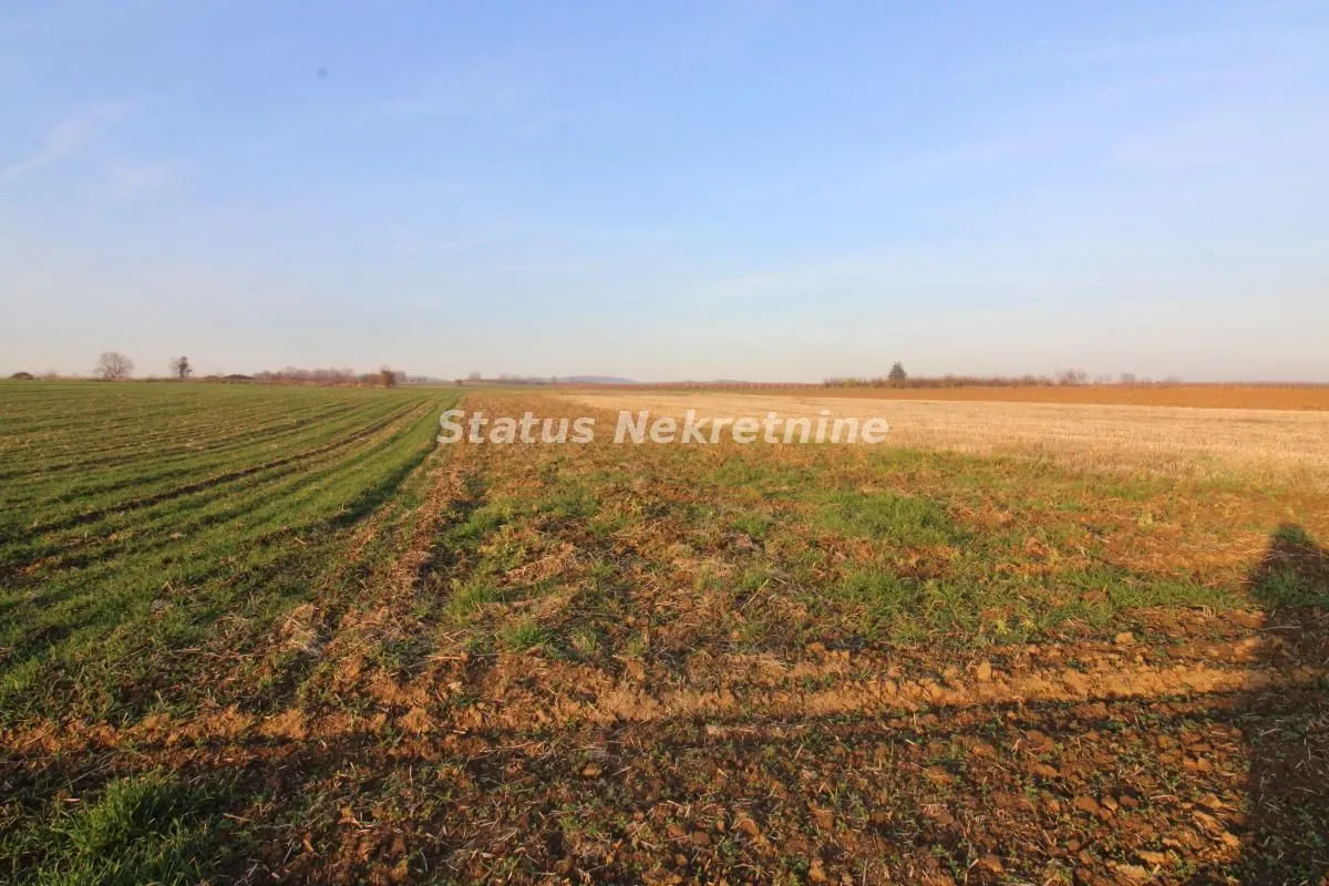 Prodaja, plac, 7700m², Irig, Srbija