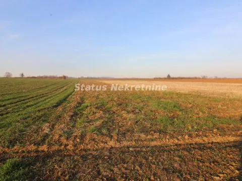 Sale, land lot, 7700m², Irig, Srbija - image 4