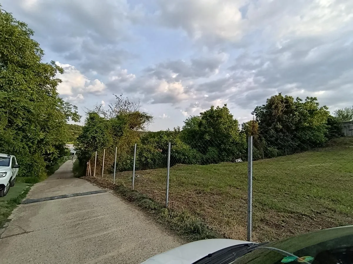 Prodaja, plac, 1000m², Alibegovac, Petrovaradin