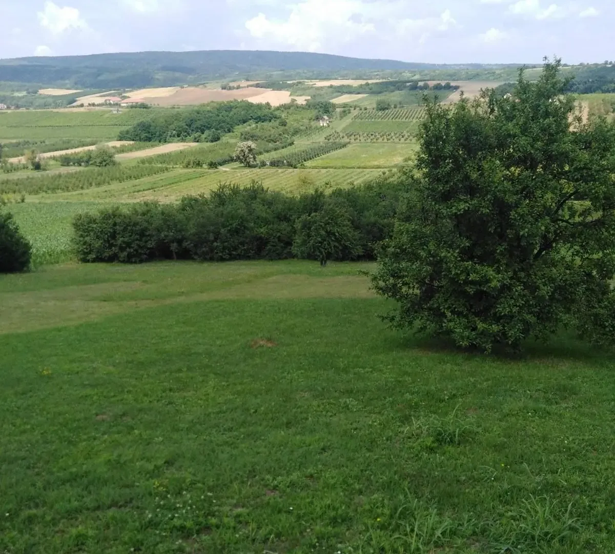 Prodaja, plac, 4300m², Irig, Srbija