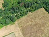 Sale, land lot, 17000m², Zeta, Podgorica - image 3