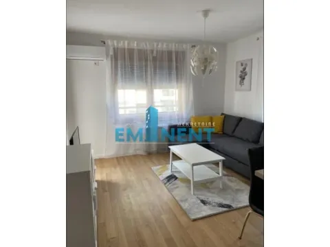 Izdavanje, dvosoban stan, 38m², Zemun Sve Podlokacije, Beograd - image 2
