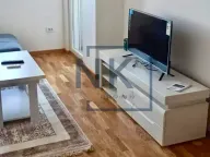 Izdavanje, jednosoban stan, 46m², Stari Aerodrom, Podgorica - image 4