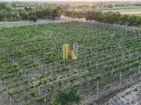 Sale, house, 230m², Srbobran, Novi Sad - image 63