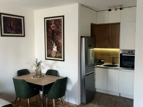 Izdavanje, jednosoban stan, 40m², Zabjelo, Podgorica