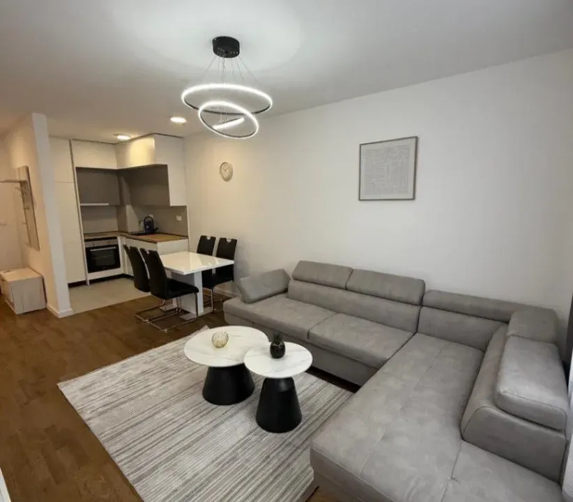 Rent, one bedroom apartment, 47m², Stari Aerodrom, Podgorica