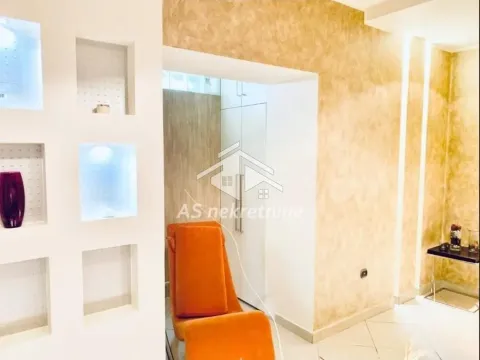 Izdavanje, dvosoban stan, 60m², Palilula Sve Podlokacije, Beograd - image 8