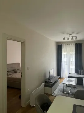 Izdavanje, jednosoban stan, 43m², Central Point, Podgorica - image 9