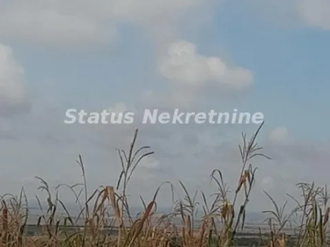 Prodaja, plac, 10800m², Banja Vrdnik, Irig - image 16