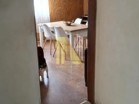 Prodaja, kuća, 450m², Veternik, Novi Sad Sve Podlokacije - image 4