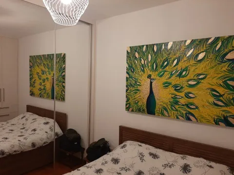 Izdavanje, jednosoban stan, 42m², Preko Morače, Podgorica - image 5