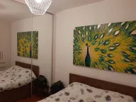 Izdavanje, jednosoban stan, 42m², Preko Morače, Podgorica - image 5