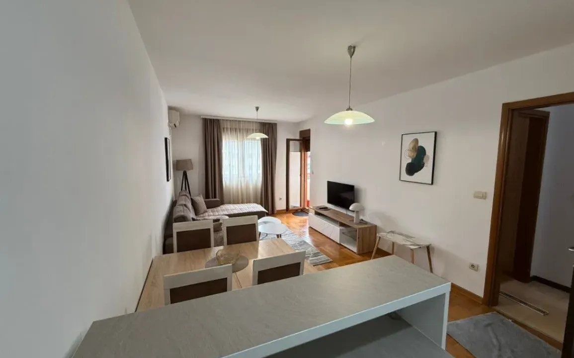 Izdavanje, jednosoban stan, 45m², Stari Aerodrom, Podgorica