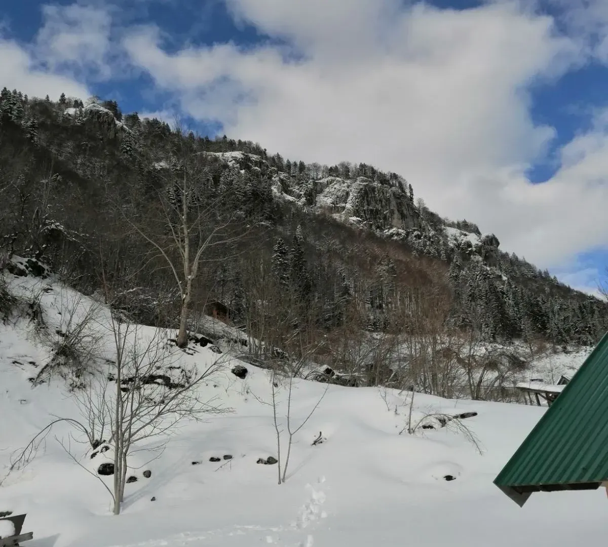 Prodaja, plac, 3476m², Kolašin, Crna Gora
