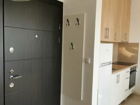 Izdavanje, dvosoban stan, 40m², Liman 4, Novi Sad Sve Podlokacije - image 10