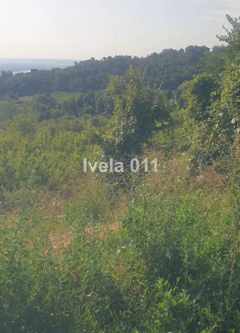 Prodaja, plac, 9400m², Grocka, Beograd