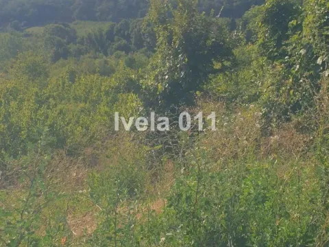 Prodaja, plac, 9400m², Grocka, Beograd - image 2