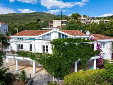 Sale, house, 560m², Žanjice, Herceg Novi - image 3