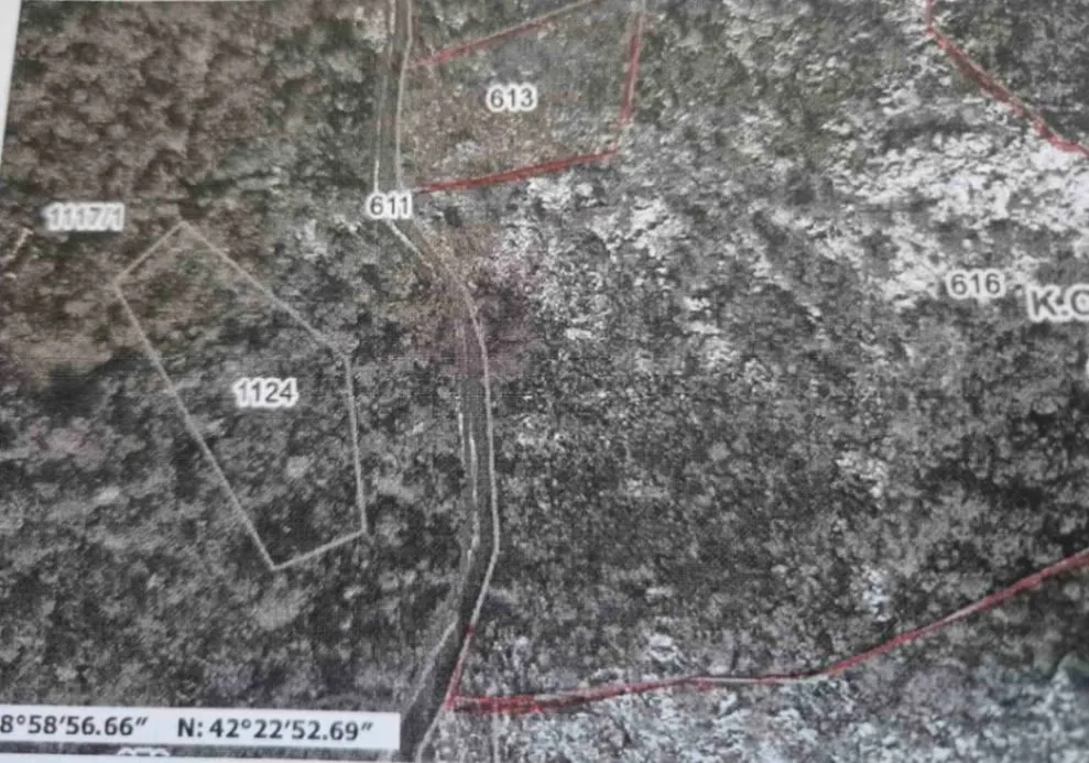 Prodaja, plac, 76159m², Ulići, Cetinje