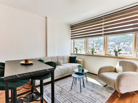 Prodaja, dvosoban stan, 46m², Budva, Crna Gora - image 7