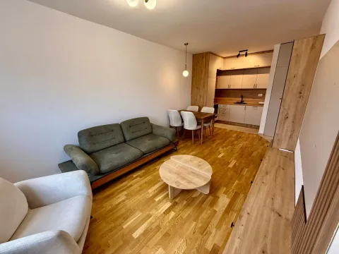 Rent, one bedroom apartment, 45m², Zabjelo, Podgorica - image 10