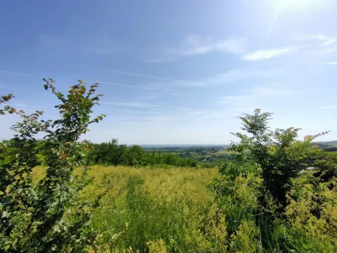 Prodaja, plac, 5600m², Novi Sad, Srbija - image 14