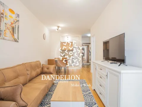 Izdavanje, jednosoban stan, 42m², Central Point, Podgorica - image 2