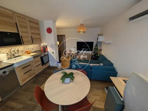 Prodaja, jednosoban stan, 45m², Profesorska Kolonija, Palilula Sve Podlokacije - image 3