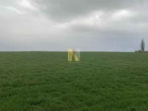 Sale, land lot, 2100m², Čurug, Žabalj - image 2