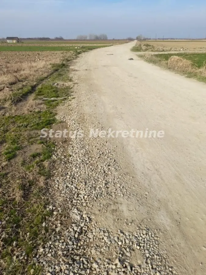 Prodaja, plac, 4400m², Futog, Novi Sad Sve Podlokacije