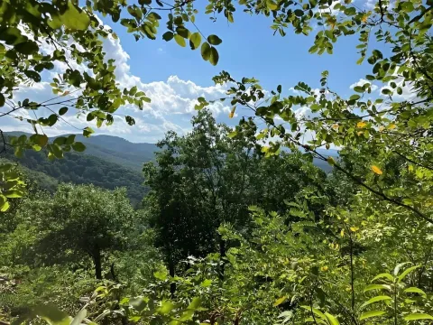 Sale, land lot, 24808m², Sela, Kolašin - image 2