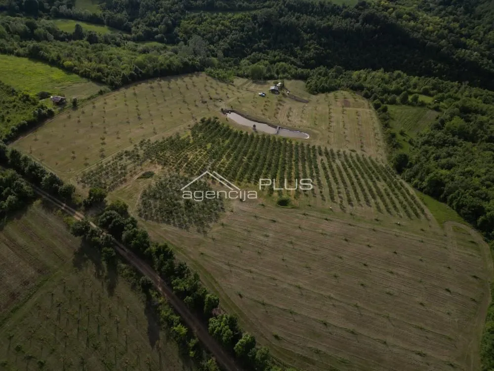 Prodaja, plac, 70000m², Grošnica, Kragujevac