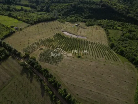 Prodaja, plac, 70000m², Grošnica, Kragujevac - image 3