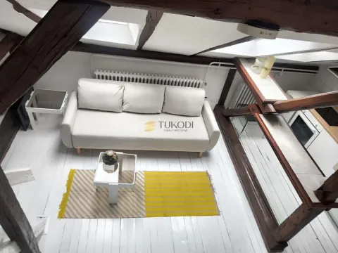 Izdavanje, jednosoban stan, 36m², Botanička Bašta, Palilula Sve Podlokacije - image 9