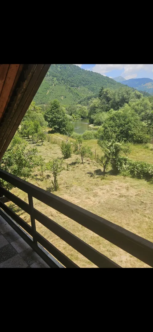 Pogled sa terase na dvori nijesu, zelenilo i rijeku.