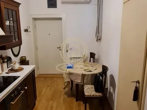 Izdavanje, jednosoban stan, 35m², Vračar Sve Podlokacije, Beograd - image 10