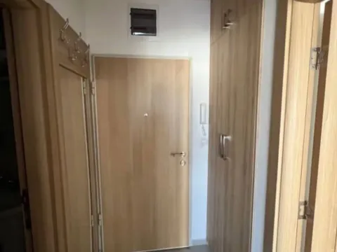 Izdavanje, jednosoban stan, 50m², Stari Aerodrom, Podgorica - image 8