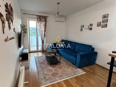 Rent, one bedroom apartment, 42m², Zabjelo, Podgorica - image 1