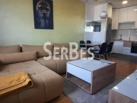 Izdavanje, jednosoban stan, 42m², Adamovićevo Naselje, Novi Sad Sve Podlokacije - image 4