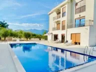 Izdavanje, jednosoban stan, 56m², Tivat, Crna Gora - image 1