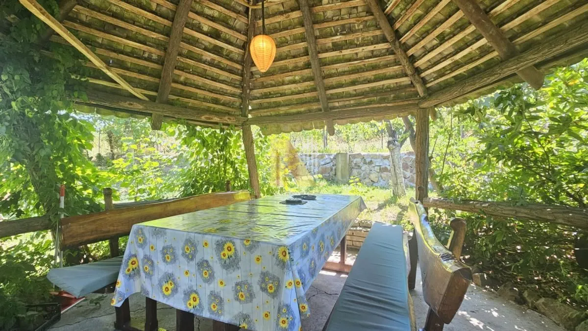 Izdavanje, kuća, 47m², Ledinci, Petrovaradin