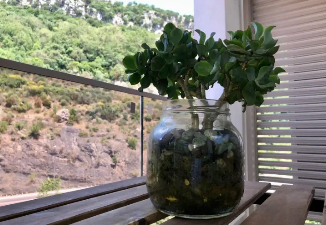 Sale, studio apartment, 44m², Rafailovići, Budva