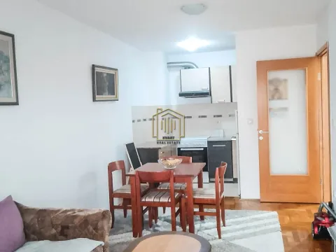 Izdavanje, jednosoban stan, 47m², Stari Aerodrom, Podgorica - image 6