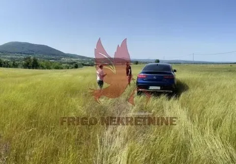 Sale, land lot, 12700m², Kosmaj, Sopot - image 2