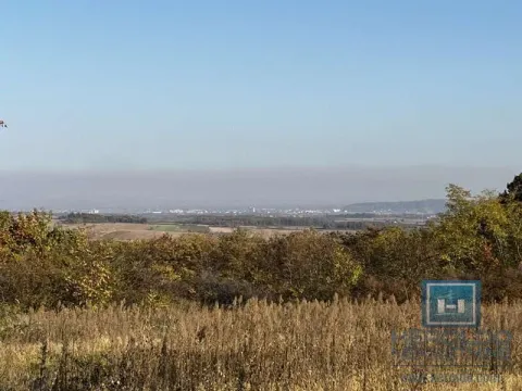 Sale, house, 20m², Lozovik, Jagodina - image 27